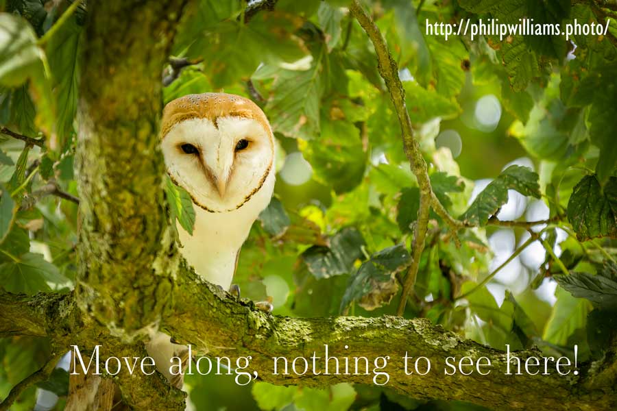 Move along, nothing to see here